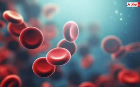 प्लेटलेट्स ज्यादा करने का आसान तरीका, घर पर रखी इन चीजों को करें इस्तेमाल