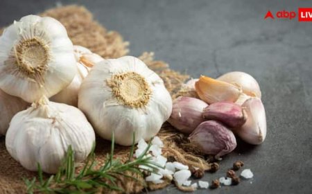 गर्मियों में किन लोगों को नहीं खाना चाहिए कच्चा लहसुन? जानें कैसे हो सकता है खतरनाक