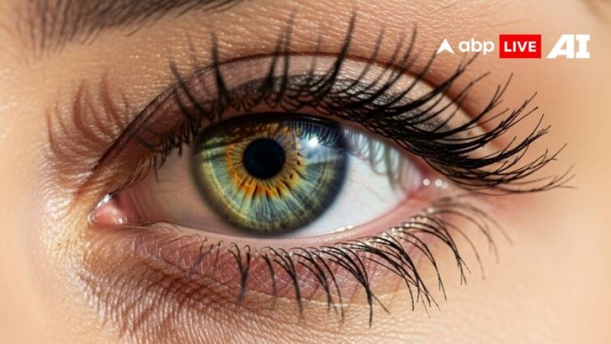 Eye Blinking For Women: महिलाओं की आंख फड़कना देती है शुभ और अशुभ संकेत, जानें इसके बारे में