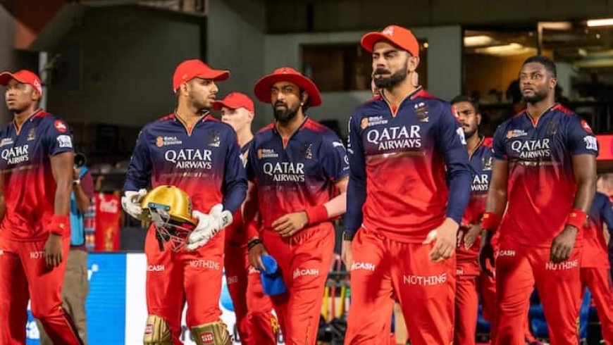 कौन है वो शख्स जिसने RCB के जीतने पर लगाया 64108974 रुपये का सट्टा, अगर टीम हारी तो लुटिया डूबी