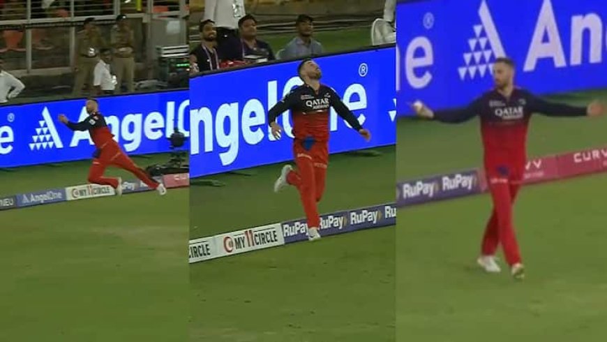 RCB vs PBKS: फिल साल्ट ने पकड़ा सुपरमैन वाला कैच, देखता रह गया पंजाब का खेमा; वीडियो हुआ वायरल