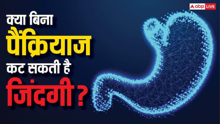 पैंक्रियाज शरीर के लिए कितना जरूरी... बिना इस ऑर्गन के कैसे कटती है लाइफ, जान लें सबकुछ