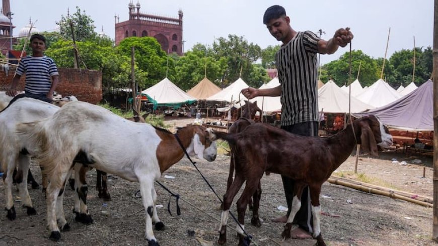 गाय, बछड़े और ऊंट की कुर्बानी पर बैन... बकरीद पर दिल्ली, यूपी और एमपी की सरकारें अलर्ट, एडवाइजरी पर सियासी पारा हाई