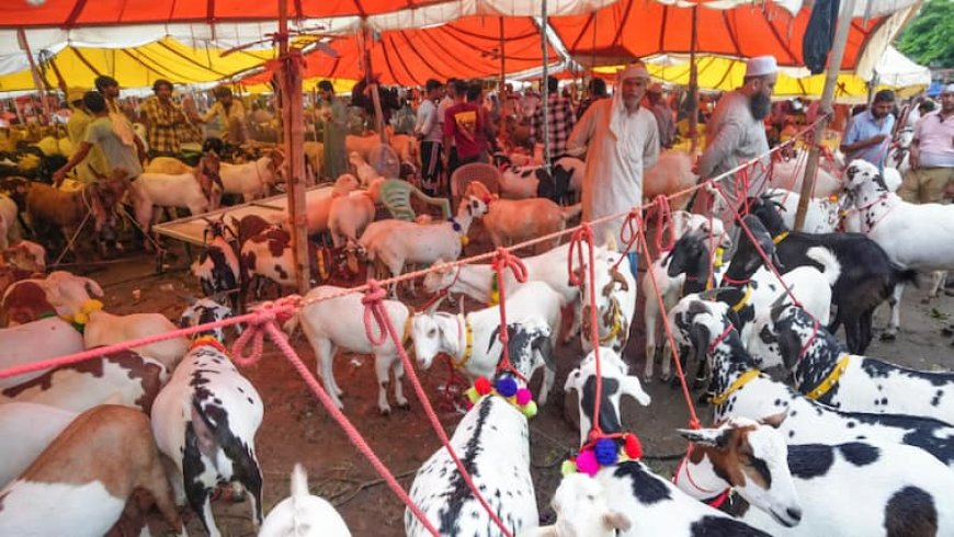 बकरीद पर दी मवेशियों की अवैध कुर्बानी, इस राज्य ने लिया बड़ा एक्शन, 16 लोग गिरफ्तार