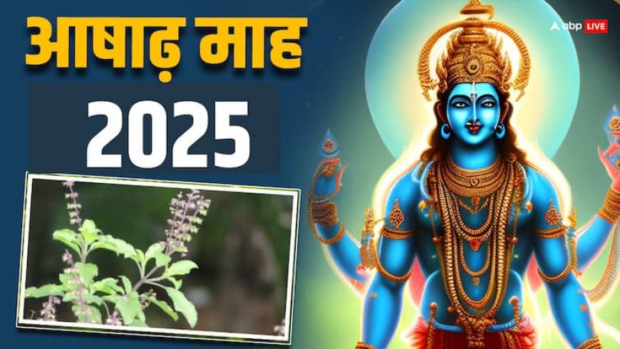 Ashadha Month 2025: आषाढ़ माह के दौरान तुलसी में चढ़ाएं ये 3 चीजें, घर में बनी रहेगी खुशहाली