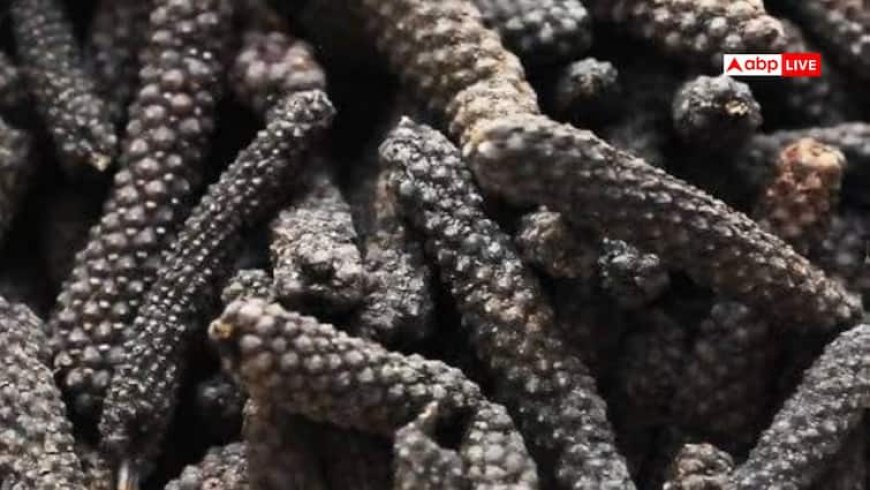 Pippali Benefits: 'इम्यूनिटी बूस्टर' है पिप्पली, इसके गुणों के बारे में जानकर हैरान हो जाएंगे आप!