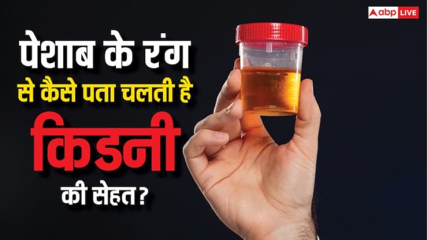 इस रंग का आ रहा पेशाब तो समझ जाएं किडनी हो गई खराब, तुरंत करें डॉक्टर से बात