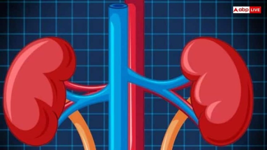 रोजाना एक हरा पत्ता खा लिया तो पेशाब से गायब हो जाएंगे सारे झाग, किडनी की सेहत बनी रहेगी