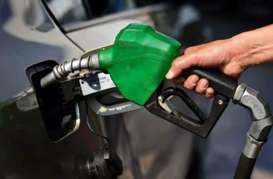 कहर बनकर पाकिस्तान पर टूट रही महंगाई, IMF चंगुल में फंसे पाक में पेट्रोल बढ़कर हुआ 258 के पार