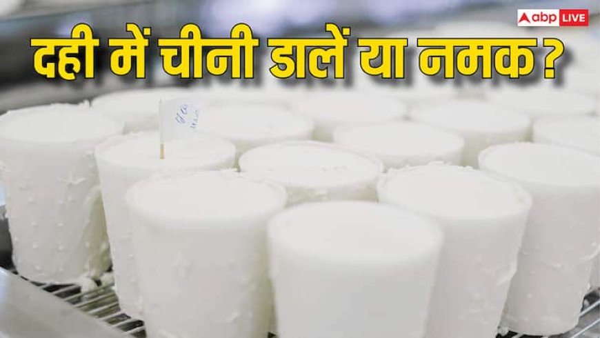 दही नमक डालकर खानी चाहिए या फिर चीनी? 99 फीसदी लोग नहीं जानते हैं ये बात
