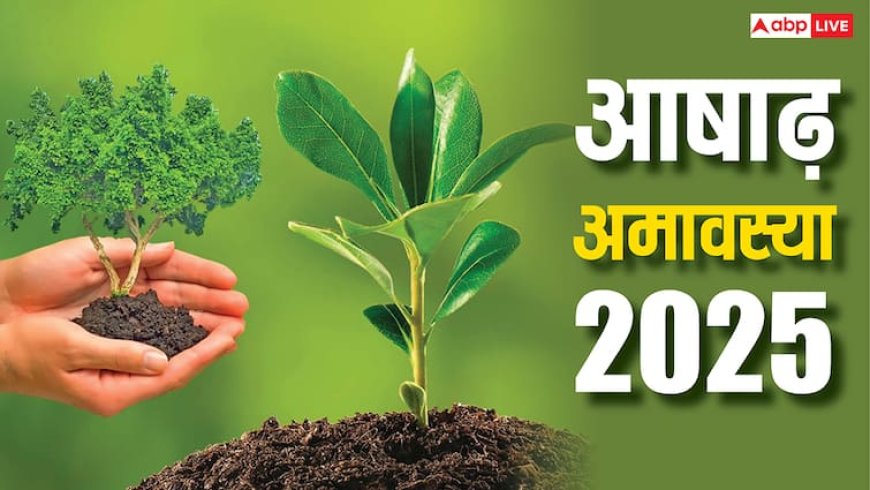 Ashadha Amavasya 2025: आषाढ़ अमावस्या पर लगाएं ये 2 पौधे, 7 पीढ़ियां रहती है खुशहाल