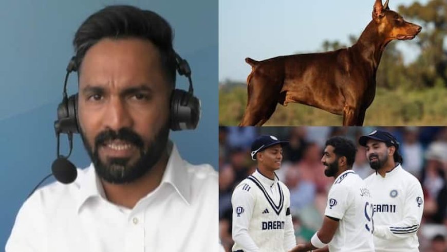 भारत की बैटिंग 'डाबरमैन डॉग' की तरह...', दिनेश कार्तिक ने क्यों उड़ाया टीम इंडिया का मजाक? देखें वीडियो