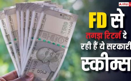 FD के मुकाबले तगड़ा इंटरेस्ट रही हैं ये सरकारी स्कीम्स, पैसा डूबने का नहीं कोई खतरा; रिटर्न गारंटीड