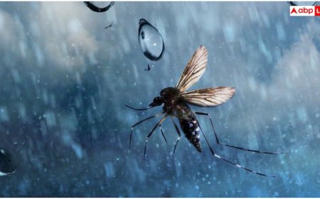 घर में गलती से भी नहीं घुस पाएंगे बारिश वाले कीड़े, होममेड स्प्रे से चुटकियों में हो जाएगी इनकी छुट्टी