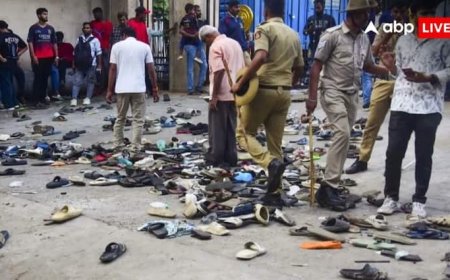 'पुलिस कोई जादूगर या भगवान नहीं', बेंगलुरु भगदड़ पर ट्रिब्यूनल सख्त, RCB को बताया जिम्मेदार