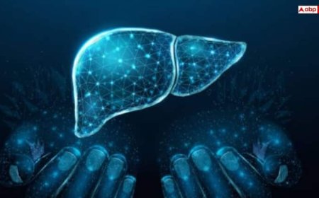क्या लिवर भी होता है ट्रांसप्लांट, जानिए इसमें कितना आता है खर्चा और कब पड़ती है इसकी जरूरत?
