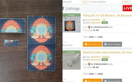 डार्कनेट ड्रग सिंडिकेट 'Ketamelon' का भंडाफोड़, करोड़ों की ड्रग्स और डिजिटल एसेट्स जब्त
