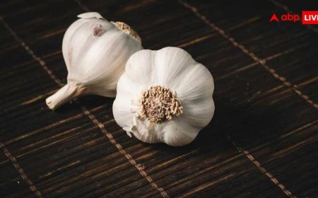 ऐसे करें नकली और चाइनीज लहसुन की पहचान, ये हैं पांच आसान टिप्स