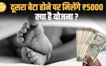 हरियाणा की महिलाओं के लिए ₹5000 की खास योजना | Maternity Help Yojana | MMMSY Explained| Paisa Live