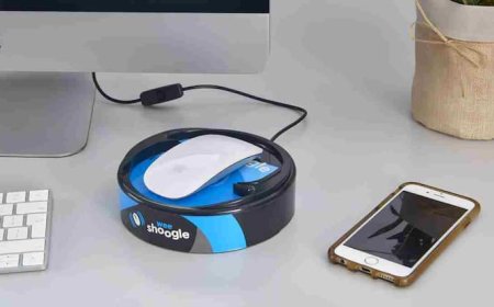 क्या है माउस जिगलर तकनीक जिसकी मदद से सोहम पारेख ने एक दिन में कमाएं 2 लाख से ज्यादा