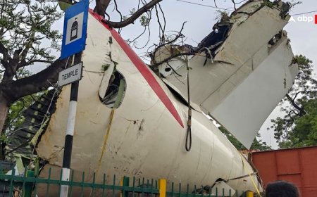 260 मौतों वाले एयर इंडिया विमान हादसे का जल्द खुलेगा राज? जांच टीम ने दाखिल कर दी प्राइमरी रिपोर्ट