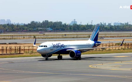 169 यात्रियों को लेकर दिल्ली जा रही इंडिगो फ्लाइट उड़ान के तुरंत बाद लौटी पटना, बर्ड हिट की वजह से आई खराबी