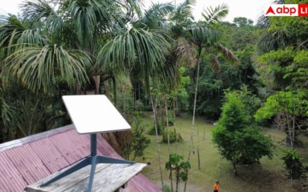 भारत में धूम मचाने के लिए तैयार स्टारलिंक, INSPACe से मिली हरी झंडी; अब आगे क्या?