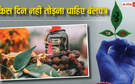 Sawan 2025: सावन में रोज चढ़ाएं बेलपत्र, लेकिन इन दिनों में भूलकर भी न तोड़ें