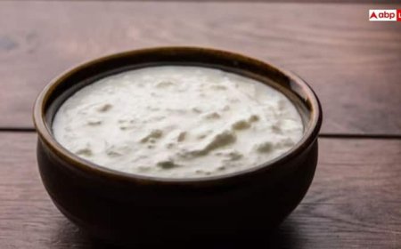 बरसात के मौसम में क्या वाकई नहीं खानी चाहिए दही? जान लीजिए क्या है सच