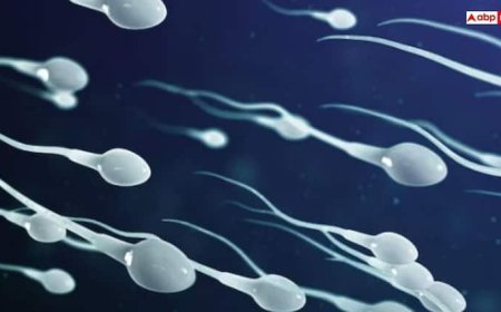 बच्चा पैदा करने के लिए कितना होना चाहिए एक पुरुष में स्पर्म काउंट, जानें कैसे कर सकते हैं चेक