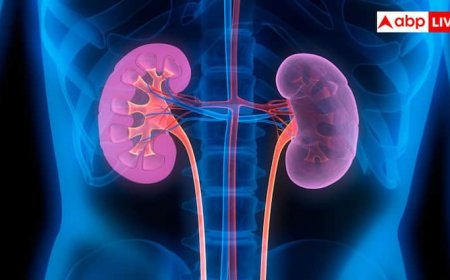 इन 10 आदतों के कारण खतरे में आ जाती है किडनी, कहीं आप तो नहीं करते ये गलतियां?