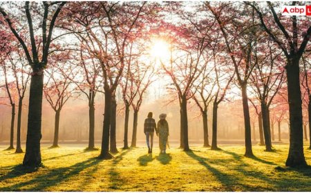 टहलते वक्त ही दिखते हैं हाई कोलेस्ट्रॉल के ये 5 लक्षण, नजर आते ही भागें डॉक्टर के पास