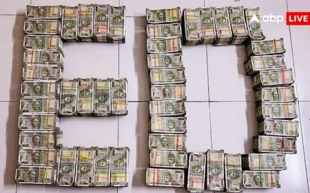 फर्जी वीजा, हवाला और विदेशी चैट्स... डंकी रूट मामले में ED की छापेमारी में क्या-क्या मिला?