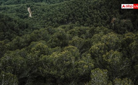 उग्रवादी संगठन उल्फा आई ने शिविरों पर ड्रोन हमले का किया दावा, भारतीय सेना ने किया खारिज