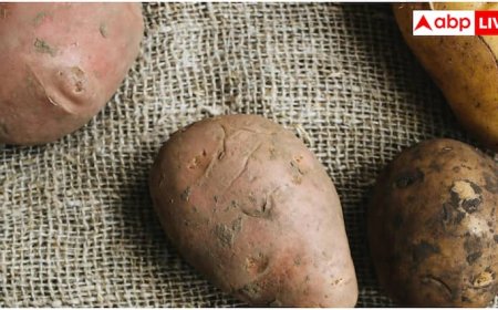 क्या सच में जहर बन जाता है अंकुरित आलू या प्याज? जानिए शरीर को कैसे कर सकता है नुकसान