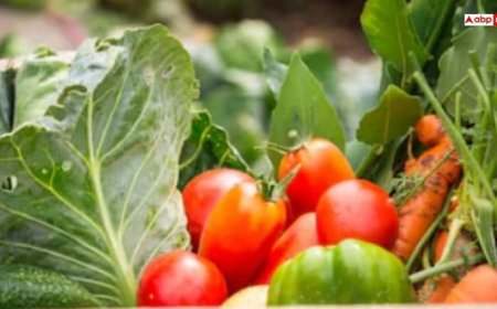 मॉनसून की शुरुआत होते ही दिल्ली में 150% तक उछले सब्जियों के दाम, लाल हुआ टमाटर, जानें वजह