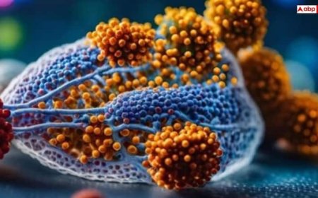 Nipah Virus: केरल में दूसरी मौत से मचा हड़कंप, मंडरा रहा निपाह वायरस का खतरा