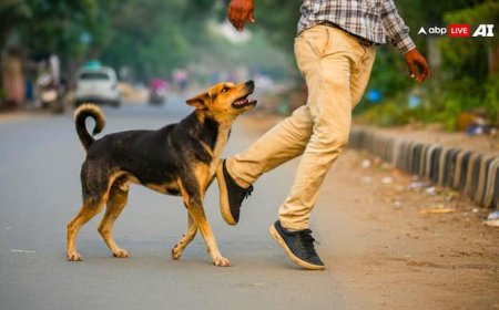 क्या कुत्ते के पंजा मारने से भी हो सकता है रेबीज? ये रहा जवाब