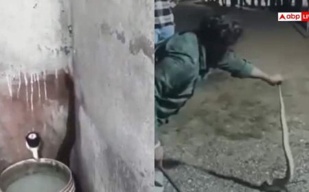 Watch: गर्ल्स होस्टल के बाथरूम में निकला सांप, छात्रों में दहशत, रेस्क्यू का वीडियो वायरल