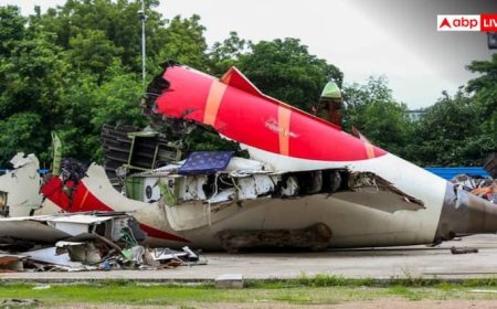 'AAIB की जांच में टीम को पायलट नहीं, जांच रिपोर्ट से न निकालें कोई परिणाम', Air India प्लेन क्रैश पर अब FIP ने जारी किया बयान