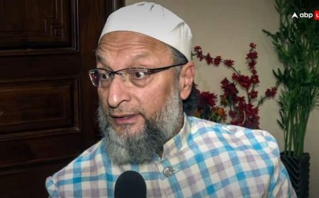 'पहलगाम हमले का बदला लो, उन चारों को...', ऑपरेशन सिंदूर की कामयाबी पर सरकार से ओवैसी ने कर दी बड़ी अपील