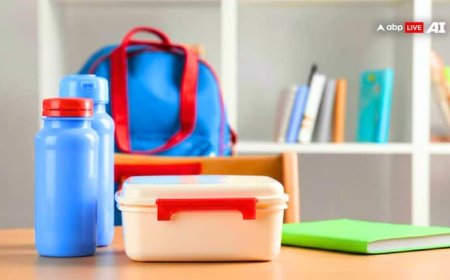 बच्चों के लिए प्लास्टिक का टिफिन कितना खतरनाक, कहीं आप भी तो नहीं कर रहे गलती?