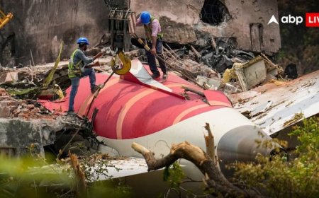 एअर इंडिया विमान हादसे के पीड़ितों के लिए टाटा समूह ने बनाया 500 करोड़ रुपये का ट्रस्ट