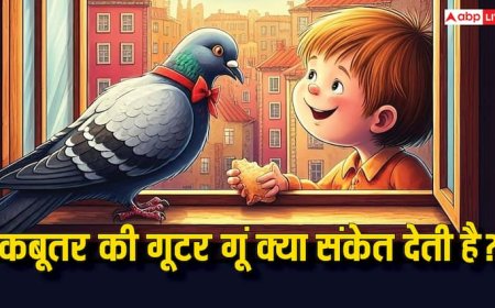 Pigeon Cooing Sign: कबूतर की गुटर गूं क्या संकेत देती है, ये शुभ है या अशुभ