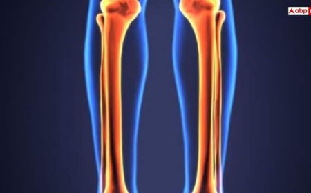 हड्डियों में जान लाने के लिए करें इन चीजों का सेवन, जल्द दौड़ते हुए आएंगे नजर