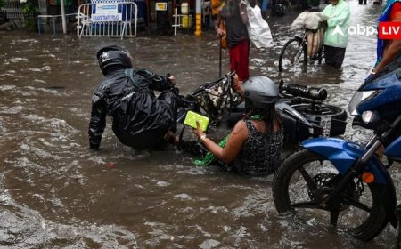 यूपी-दिल्ली, राजस्थान- हरियाणा समेत देशभर में भारी बारिश का अलर्ट, जानें मौसम विभाग का ताजा अपडेट