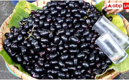 गलती से भी बेकार मत समझ लेना जामुन के बीज, इन बीमारियों के लिए हैं रामबाण इलाज