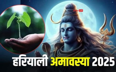 Hariyali Amavasya 2025: गुरु पुष्य योग में हरियाली अमावस्या, इन 5 उपायों से दूर होगी धन की परेशानी