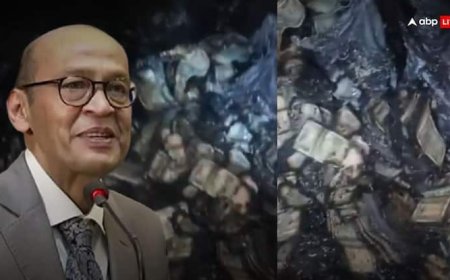 जज कैश कांड : जस्टिस यशवंत वर्मा की याचिका पर सुनवाई को सुप्रीम कोर्ट तैयार, चीफ जस्टिस ने बेंच के गठन का भरोसा दिया