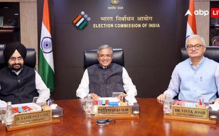 इलेक्टोरल कॉलेज का गठन, रिटर्निंग ऑफिसर की नियुक्ति... जगदीप धनखड़ के इस्तीफे के बाद EC ने शुरू की उपराष्ट्रपति के चुनाव की तैयारी